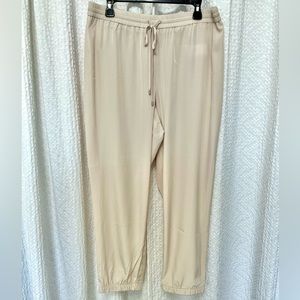 EXPRESS Drawstring Dress Joggers